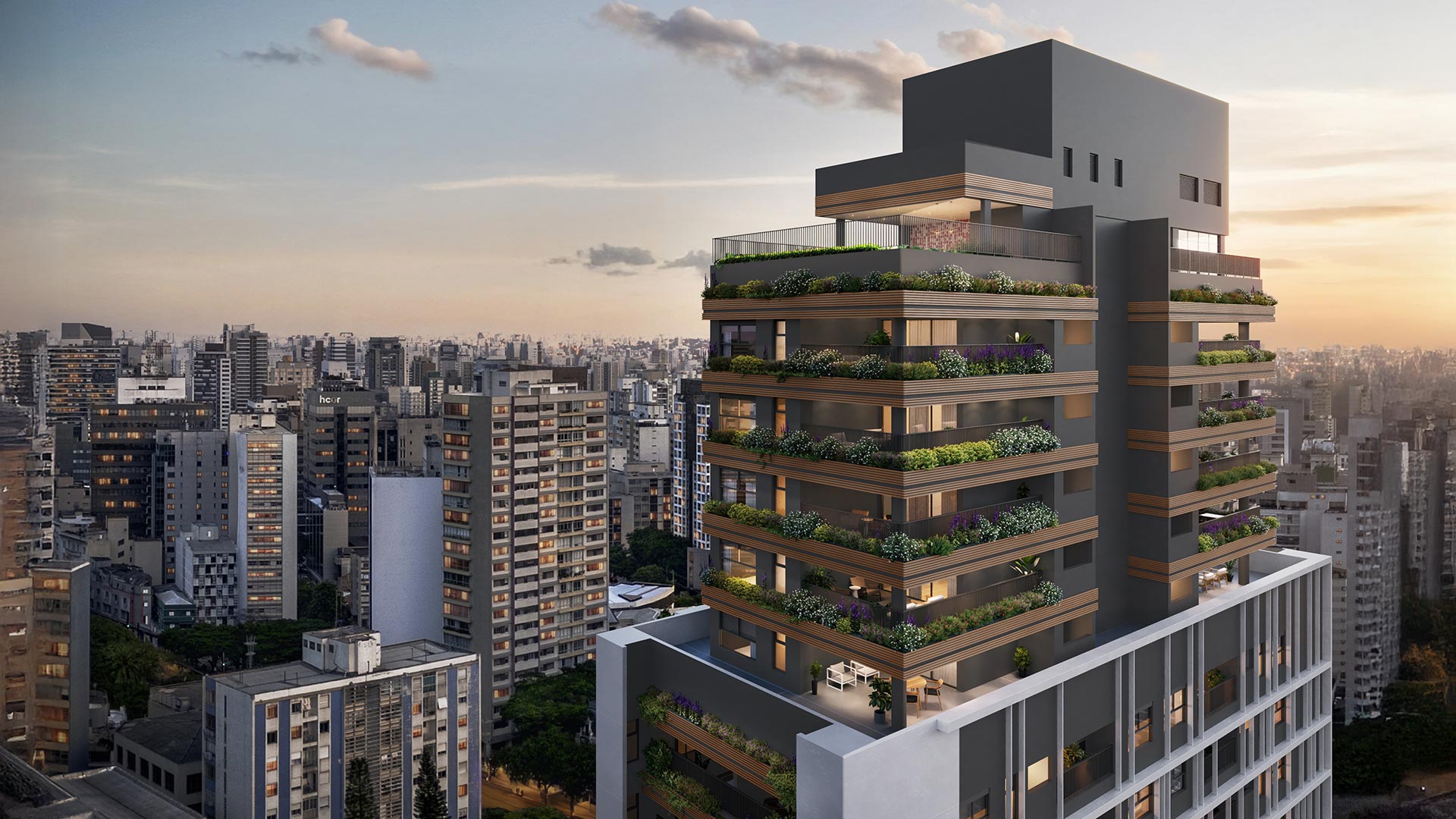 Voo do Pássaro do Rooftop